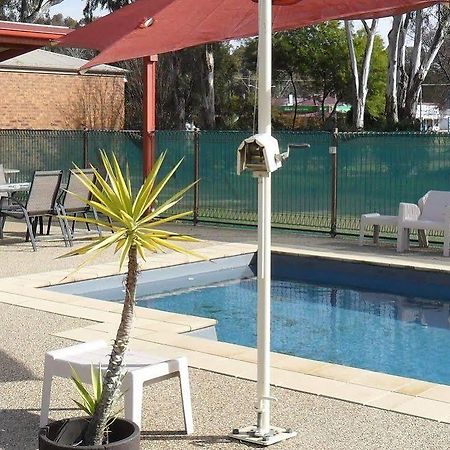 דניליקווין Settlement Motor Inn מראה חיצוני תמונה
